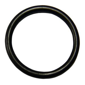 O-ring 134089