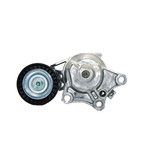 Dynamische riemspanner 1631481580