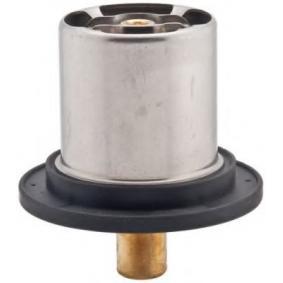 Thermostaat 133873