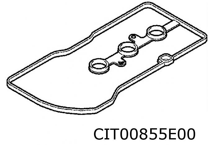 Cilinderkoppakking 0249C9