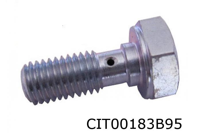 2CV6 / Dyane Banjobout Cilinderkop 10233